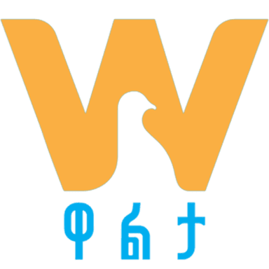 Walta TV